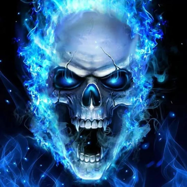 Skeleton 2